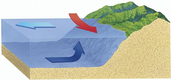 Currents Under the Surface An upwelling is a type of density current in which surface water is