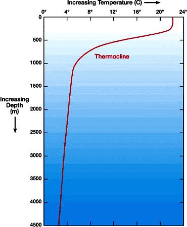 Thermocline Most energy is