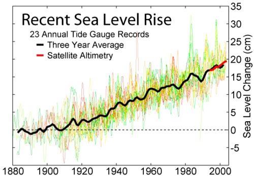 How much did sea level
