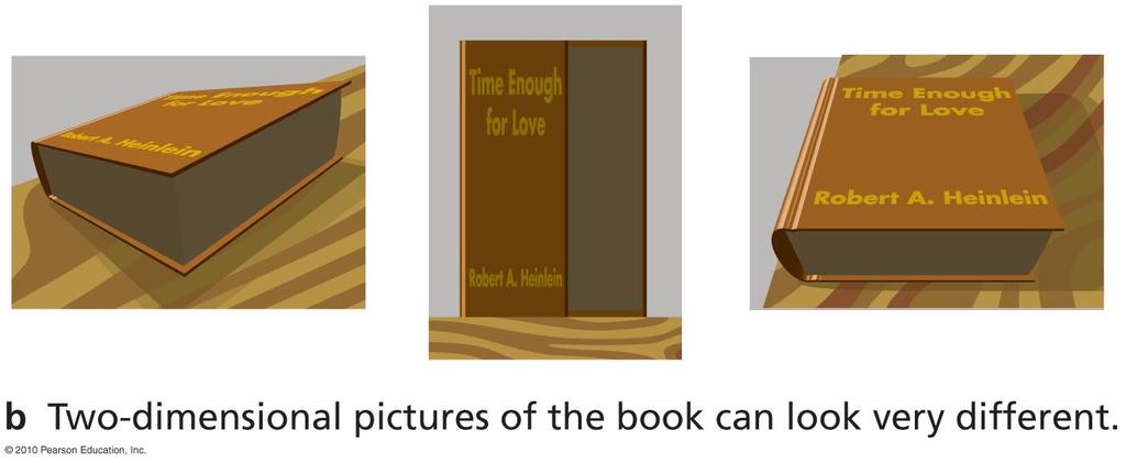 Perspectives in Space A book has a definite three-dimensional