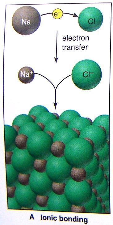 (1). Metal with nonmetal: electron transfer and ionic bonding Typically as IONIC, BONDING Such difference occur between reactive metals (1A(1) and 2A(2)) and nonmetals (7A(17)) and the top of Group