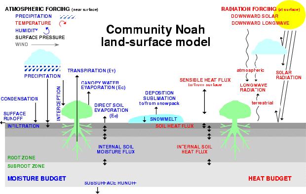 NCEP-NCAR unified Noah land model Surface energy (linearized) & water budgets; 4 soil layers. Forcing: downward radiation, precip., temp., humidity, pressure, wind.
