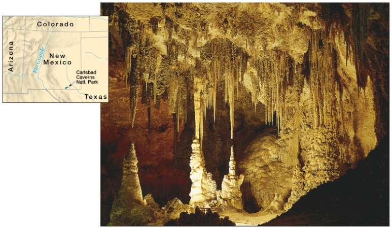 Speleothems such stalactites hang from the ceiling of this room in New Mexico s