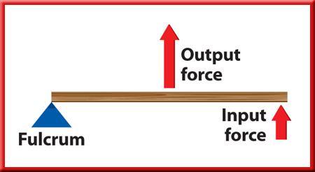 forces; in a second-class lever, the output