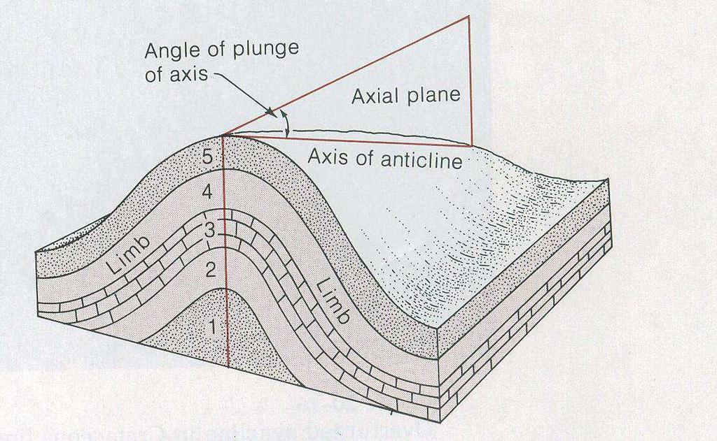 axis is a line parallel to the hinge or explained with other words it is the trace of the intersection of the axial plane on any