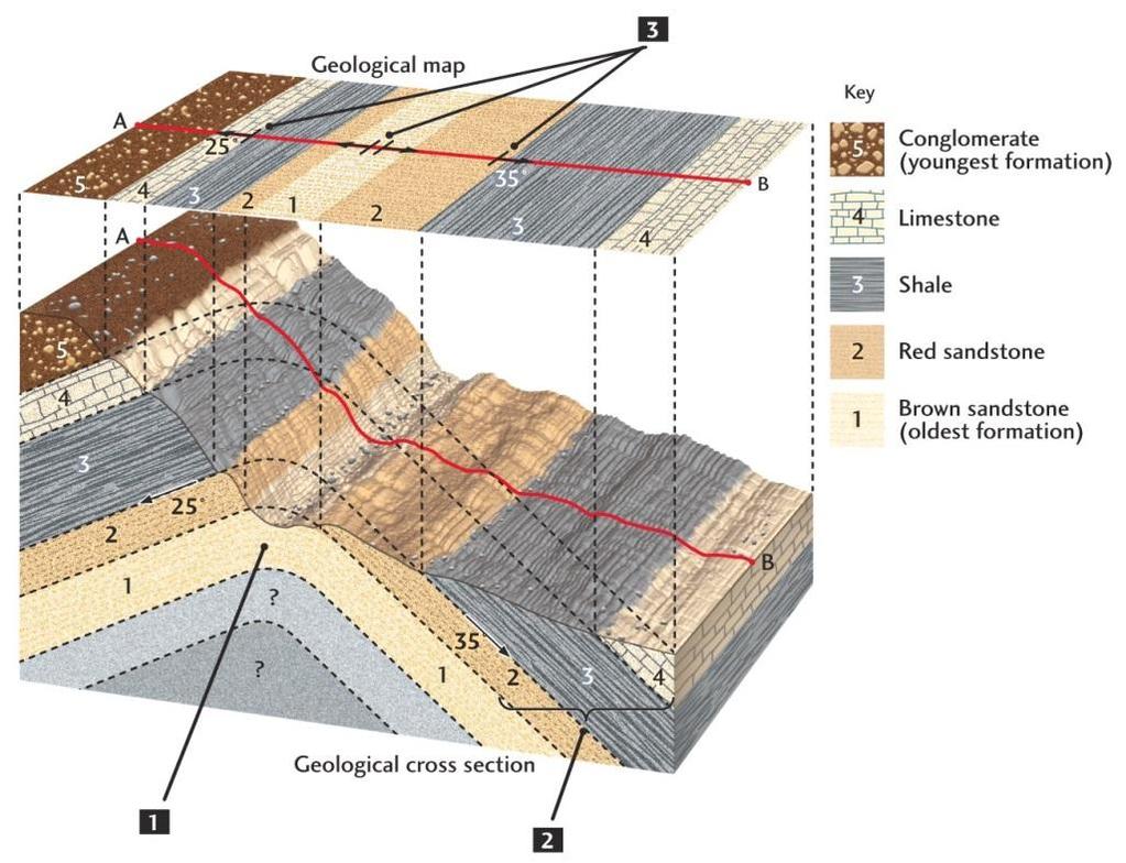 Geologic Maps and Cross Sections: Geologic maps show the spatial relationships of different formations.