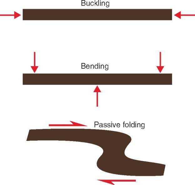 Folding Mechanisms Types of folding: Buckling active folding. There is a viscosity contrast between the folding layer and its host rock.