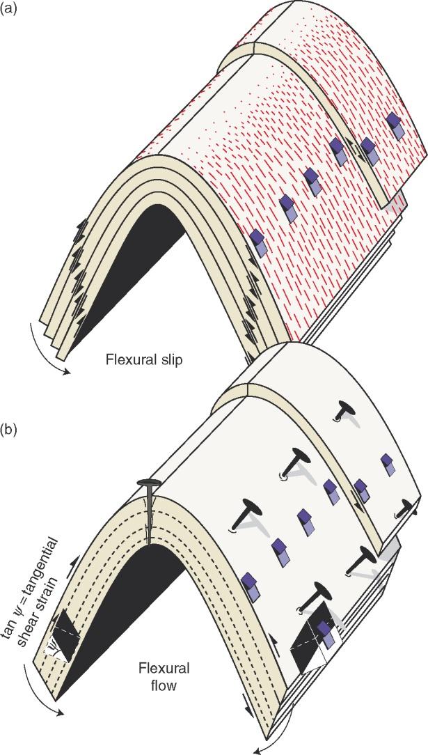 Flexural slip, flexural flow, orthogonal flexure (Class 1B) Flexural slip deforming medium is layered or has a strong