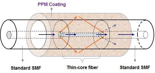 interference fringe in the transmission spectrum. This spectrum can be used for precisely analyzing the change of refractive index of PPM coating for biochemical sensing applications.