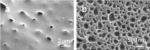 Figure S3 SEM image on the surface morphologies of PCMVImTf 2 N-PAA complex membrane. (a) top surface (in zone I), (b) bottom surface (in zone II).