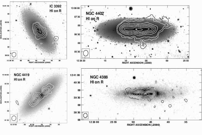 4 Author & Coauthor Figure 2. VLA HI maps on optical images of Virgo spirals IC 3392, NGC 4402, NGC 4419 and NGC 4388.