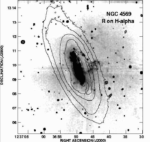 Short title 5 Figure 3. Hα image of NGC 4569, from a WIYN image convolved to a resolution of 3 shown with R-band contours in the left panel.