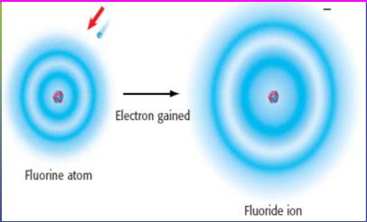 Ex) elements in Group 1, 2, &13 Anion- an ion with a negative charge (-) An electron is added to the atom to make a more
