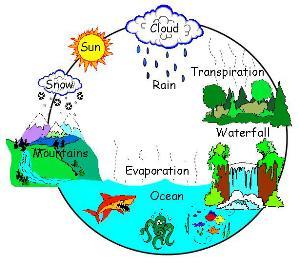 Ground Water: Includes water trapped in the soil and groundwater. Atmosphere: water vapor.