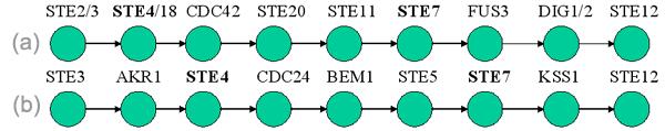 a The known pathway. b The discovered pathway when forcing the same start and end points and the same length. The genes in bold designate genes common to the two paths. Figure 10.