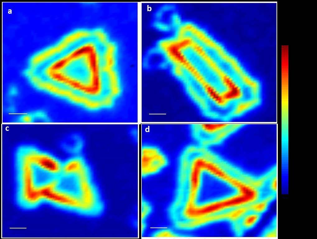 SUPPLEMENTARY INFORMATION S10. Photoluminescence characterization of additional crystals PL intensity maps provide an optical visualization of the 1D interfaces, as discussed in the main text.