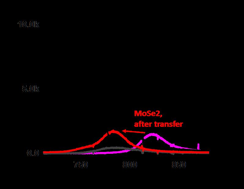 S11. Improved optical quality of the sample after transfer We find that our as-grown monolayer flakes exhibit shifted PL spectra (at room temperature) compared to exfoliated ones.
