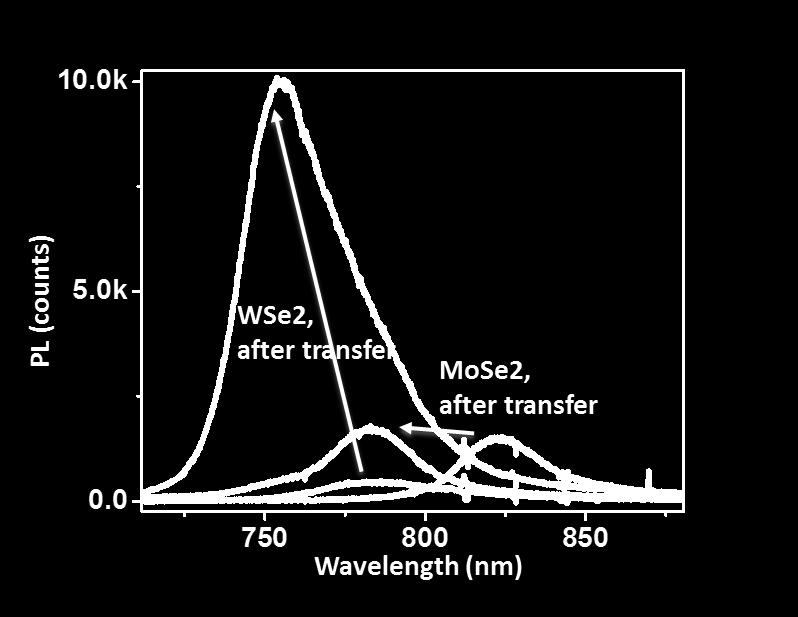 To remove this effect, we transfer our asgrown flakes to another clean substrate using the technique described in Methods. After transfer the PL peaks are at the usual values, as shown in Fig.