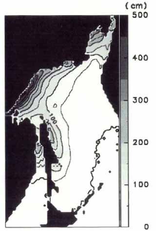 1. SEA ICE We first examine the locations of sea-ice formation in the Sea of Okhotsk, using two different kinds of analytical methods, SSM/I microwave data analysis (Kimura and Wakatsuchi, 2004) and