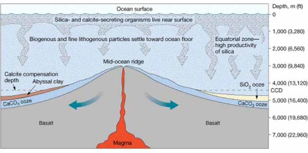 Carbonate Compensation Depth: II CaCO 3 sediment deposited previously and now buried by rain of SiO 2