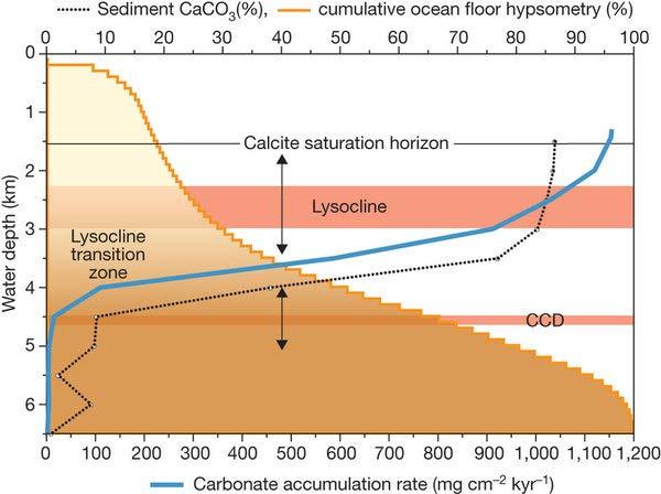 Lysocline region of rapidly changing carbonate saturation. 8.