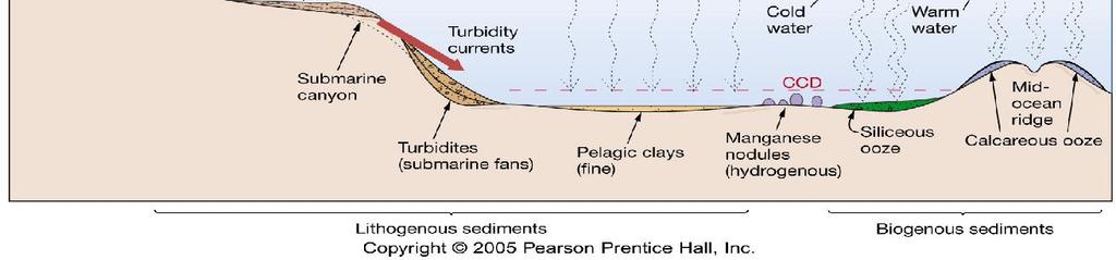 Type and Locality of Marine Sediments