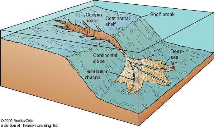 Continental Slope and Rise Sediments Key Points