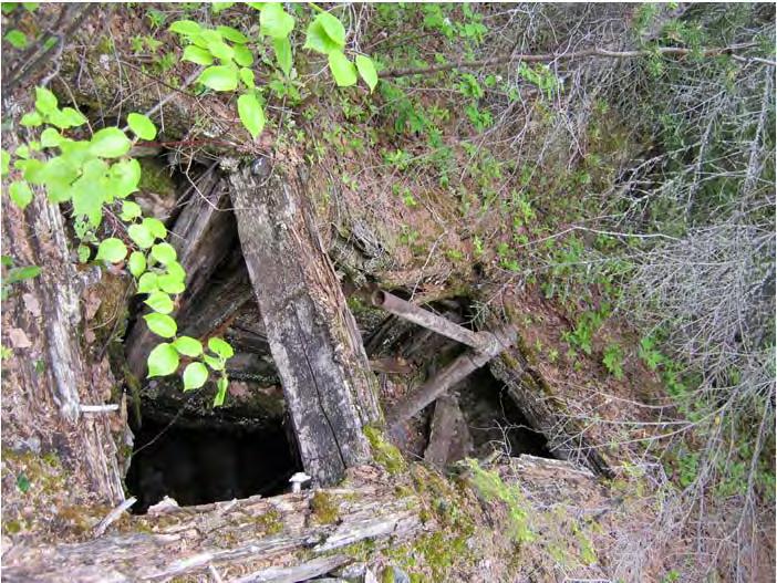 the moss camouflaged wood capped shaft collapsed was able to be rediscovered.
