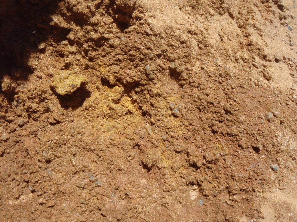 Surficial uranium deposit Uranium mineral is yellow carnotite Host rock of
