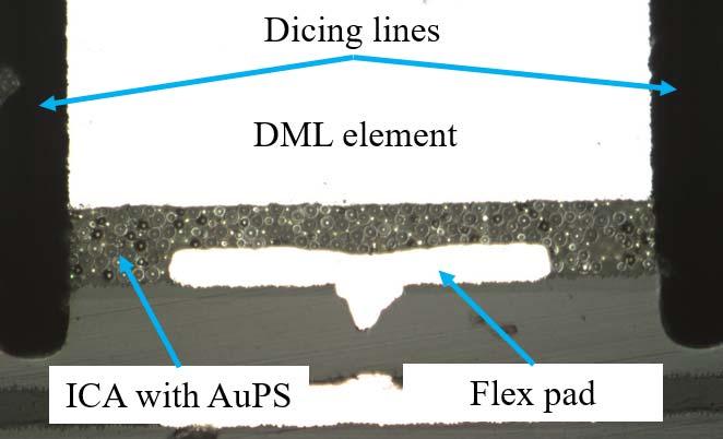 interfaces. Fig 8 shows a typical fracture surface of interconnects after shear testing. C.