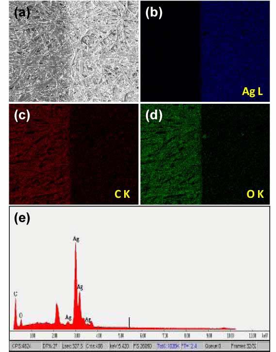 Fig. S 11 (a) SEM image of the boundary of the paper with and without silver coating; the EDX of the (b)