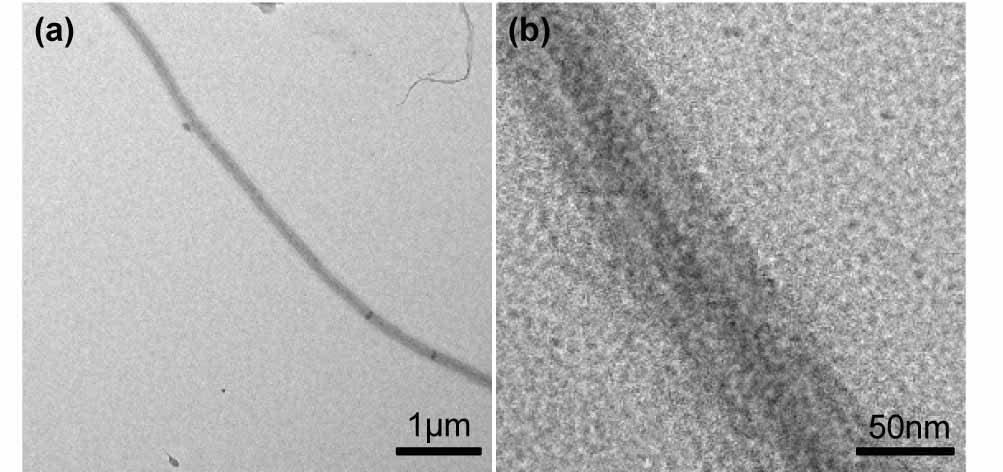 Fig. S6 TEM image of the nanofibrils separated from