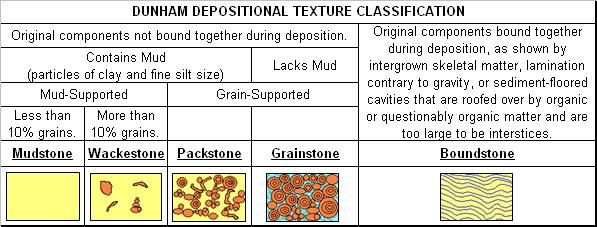 Multiple classification systems can be developed to describe the same object or process.