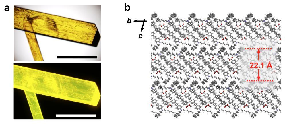 Supplementary Figure 5. Crystal structure of 2. (a) Optical (upper) and fluorescence micrographs (lower) of orange-emitting single crystals of 2 obtained from ethyl acetate. Scale bar: 1 mm.