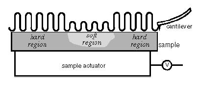 AFM: measurement methods Amplitude modulation (AM) The cantilever is put at a fixed vibrational frequency close to resonance and the variation of the vibrational amplitude is recorded.