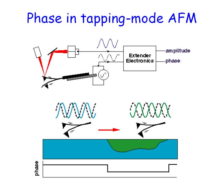 Measurement of dephasing AFM: measurement methods This method is used to determine differences in the chemical composition of the surface.