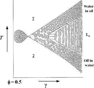 Phase Behaviour, Interfacial Tension and Microstructure 39 (a) (b) Figure 1.