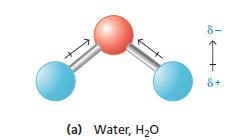 Intermolecular Forces (IMF) The forces of attraction between molecules are known as intermolecular forces.