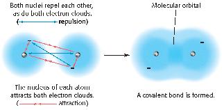 When bonds form individual atoms release energy as they change from isolated individual atoms to