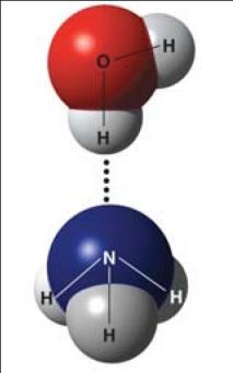 17. What is a hydrogen bond? Indicate where the hydrogen bond occurs in this figure. 18. What is the biological importance of weak hydrogen bonds? 19.