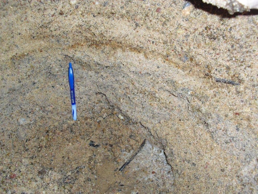 Evidence collected at Pond Creek Trench Site 1 Point Bar Area of deposition in a meandering river/creek