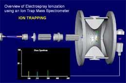 ION TRAP (IT) Possibility MS/MS (CID) (in real applications MS 3 ) Rule 30:70 ions at low 30% of m/z range are not stabile in ion trap lose information Limits m/z 2000 4000