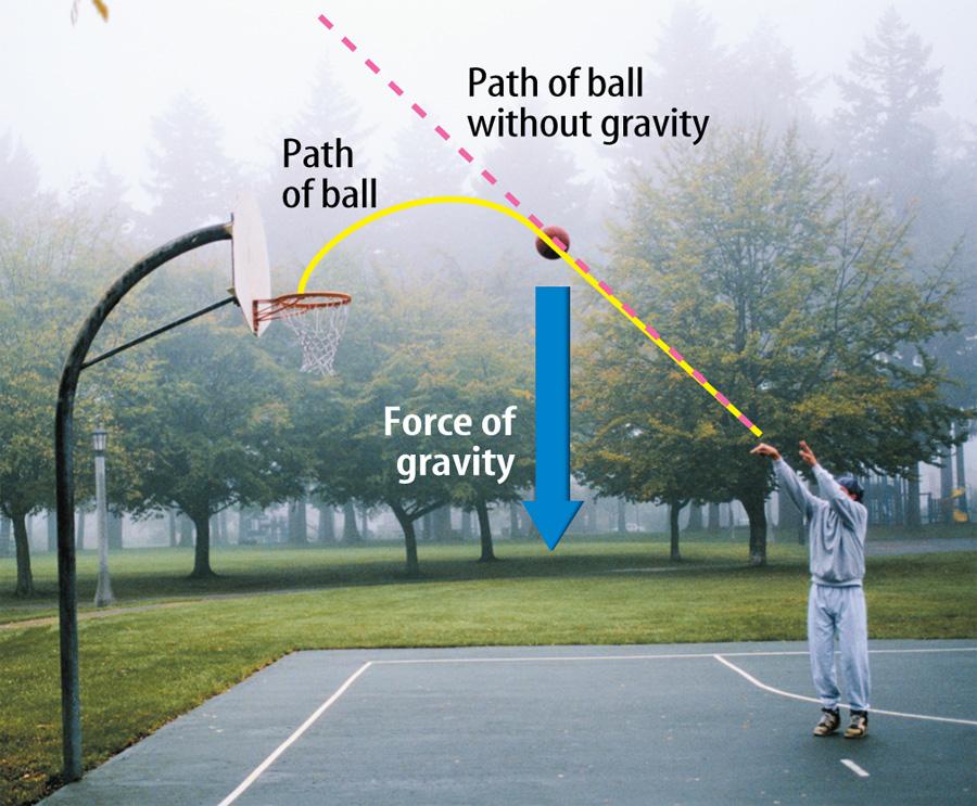 3 2.2 Types of Forces Gravity (cont.