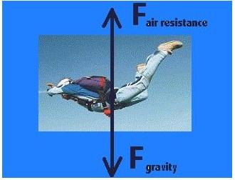 Terminal Velocity The force of air resistance increases until it becomes large enough to cancel the force of gravity.