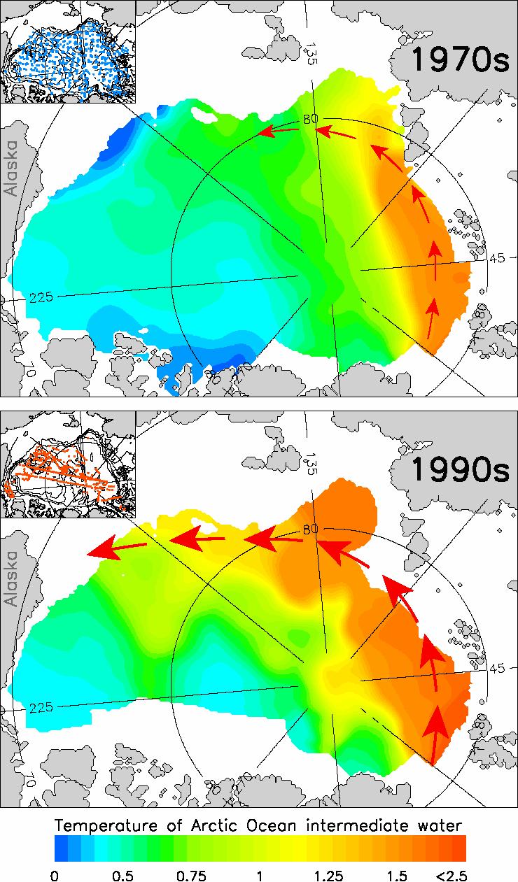 Propagation of warm Atlantic Water temperature anomalies into the Arctic Ocean in the