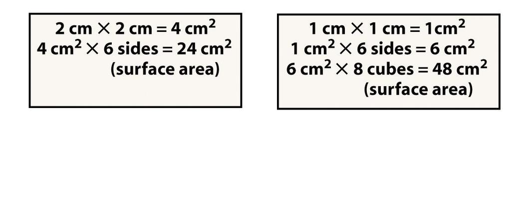 surface area 2 cm 1 cm 2