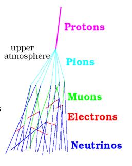 Where are neutrinos found?