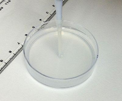 Lesson Plan: Diffusion Page 6 Figures Figure 1 Making a Hole in the Agarose Left, using a