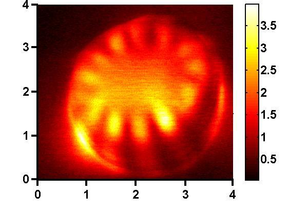 SNOM Mapping µm (15,1) V µm (14,1)