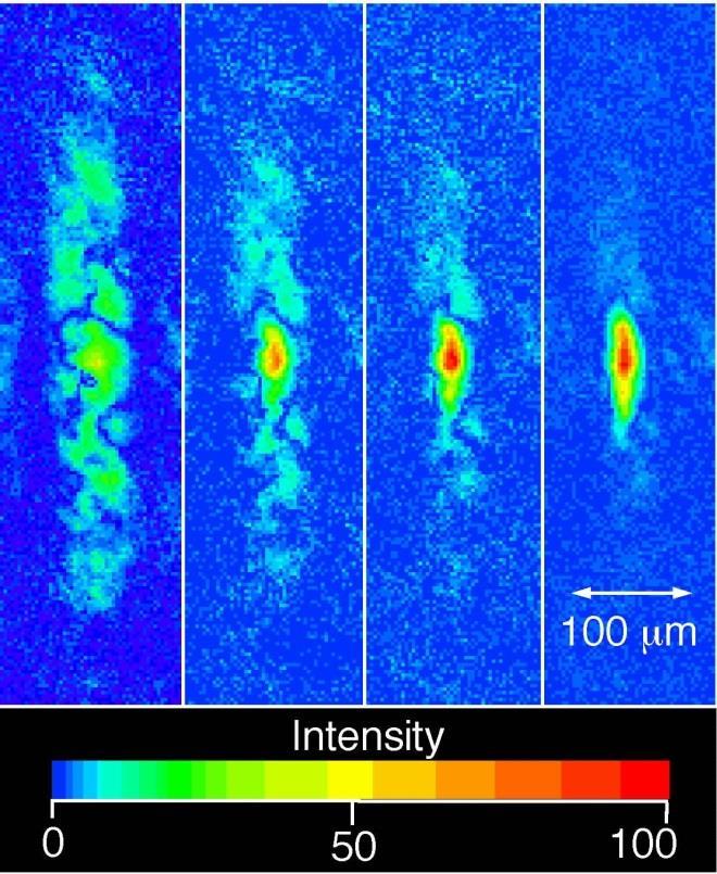 HIGH ATOMIC DENSITY IN SITU IMAGING In cold, dense gases of neutral atoms, the optical density is high enough that the atomic cloud perturbs a laser detuned as far as 100 times the natural line width.